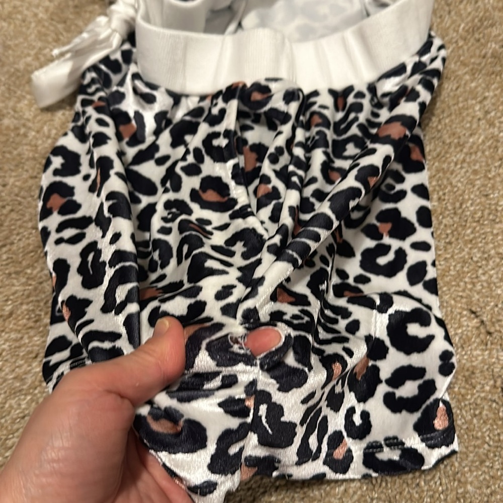 Shorts - Picture 5 of 5